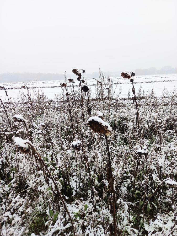 Landidylle Mit Garten, Whirlpool Und Klima Reken Esterno foto