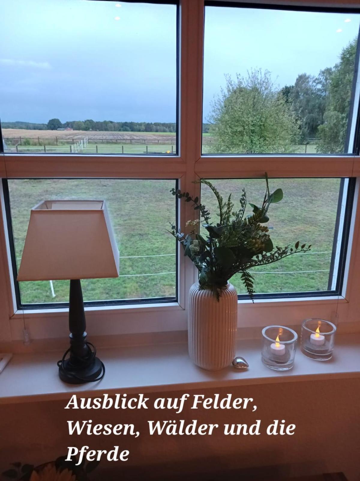 Landidylle Mit Garten, Whirlpool Und Klima Reken Esterno foto